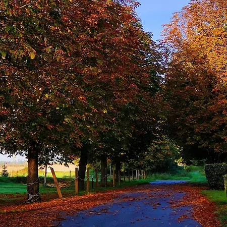 Mercure Parc Du Coudray 4* Le Coudray-Montceaux