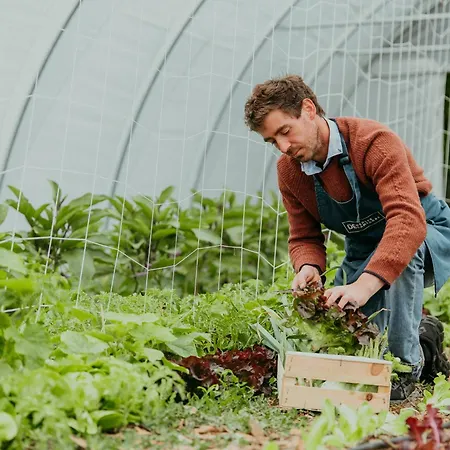 Mercure Parc Du Coudray - Barbizon Hotel Le Coudray-Montceaux